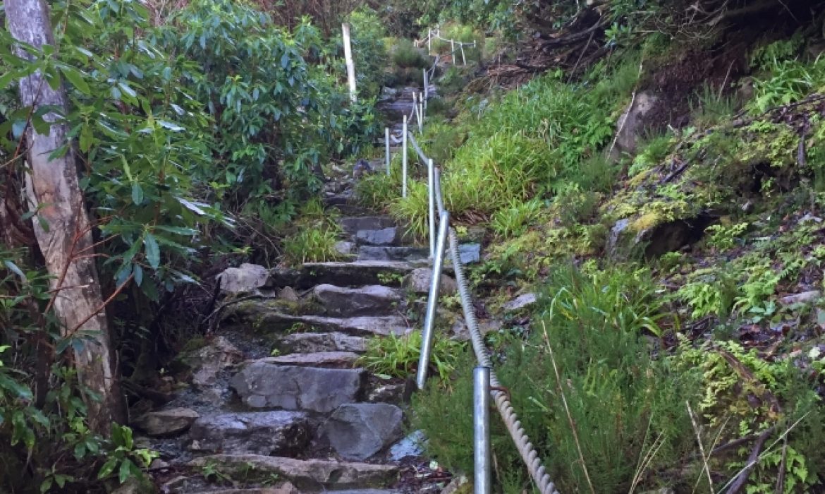 KillarneyGuide.ie: Cardiac Steps Torc Mountain Killarney