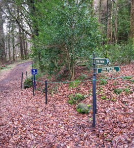 killarneyguide.ie Blue Pool Visually Impaired Trail