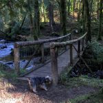 killarneyguide.ie Pike Wood Bridge