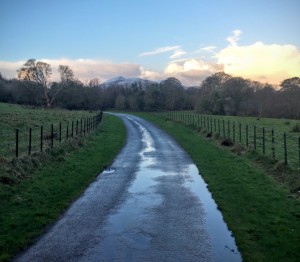 killarneyguide.ie Path to Muckross Abbey