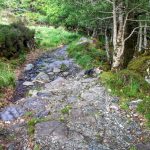 killarneyguide.ie Derrycunnihy Path