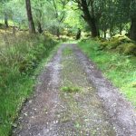 killarneyguide.ie Derrycunnihy Path to Layby