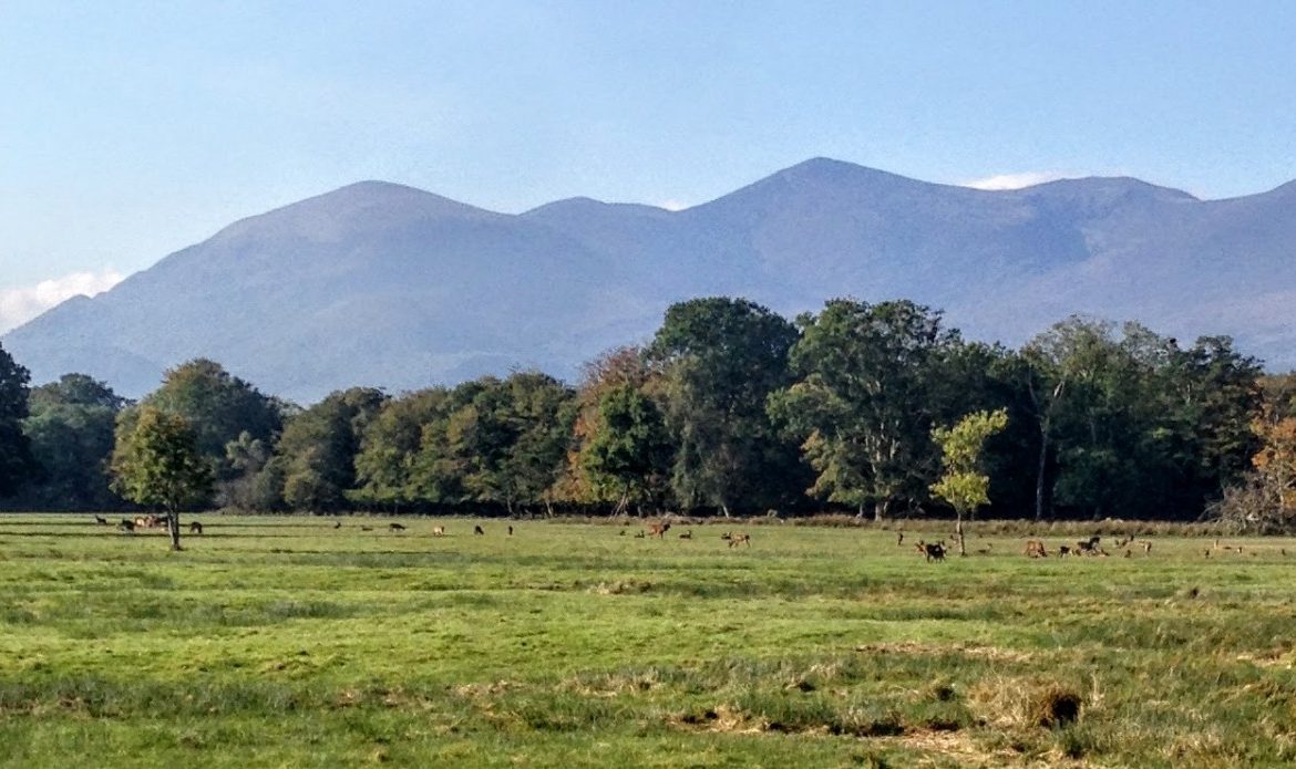 KillarneyGuide.ie Reeks over Cotters Field