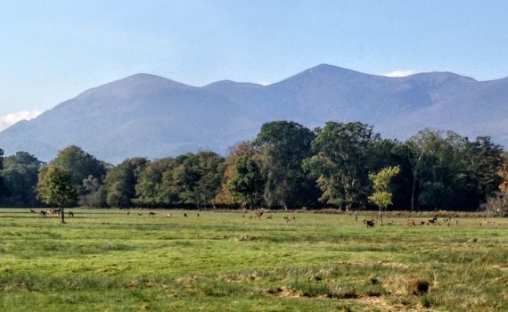 KillarneyGuide.ie Reeks over Cotters Field