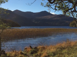 Library Point Reeks View