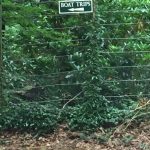 Muckross Boat Trip Sign